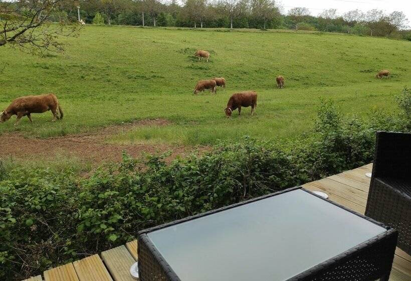 غرفة قياسية, La Maison De Tari