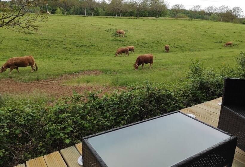 غرفة قياسية, La Maison De Tari