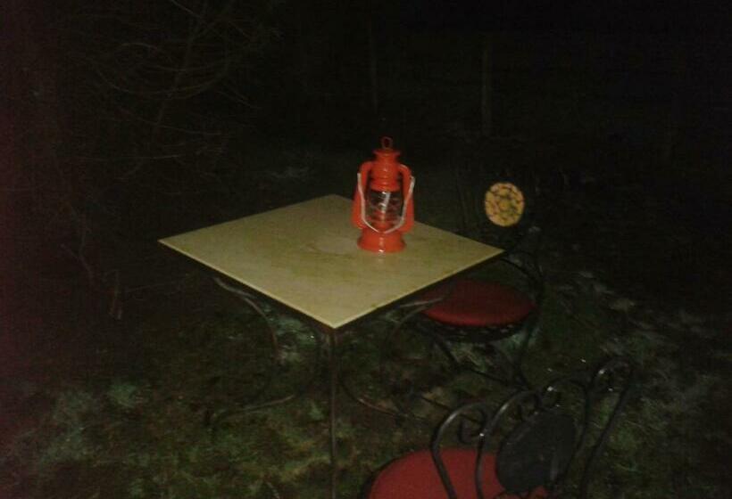 غرفة بريميوم, La Trainelière