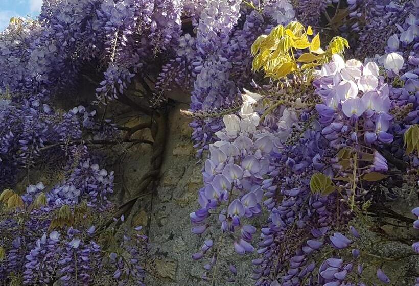 Семейный Номер, Les Glycines