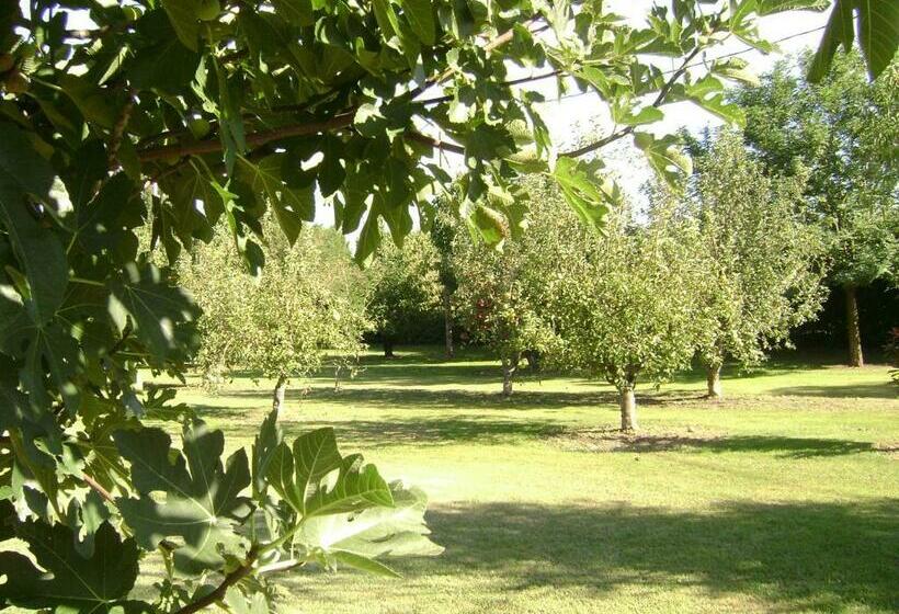 חדר סטנדרט, La Gourmandine