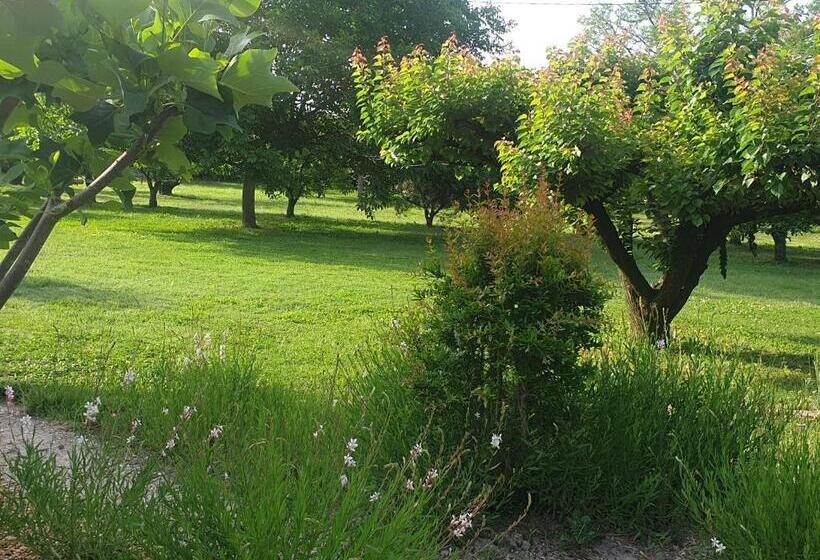 חדר סטנדרט נוף לגינה, La Gourmandine