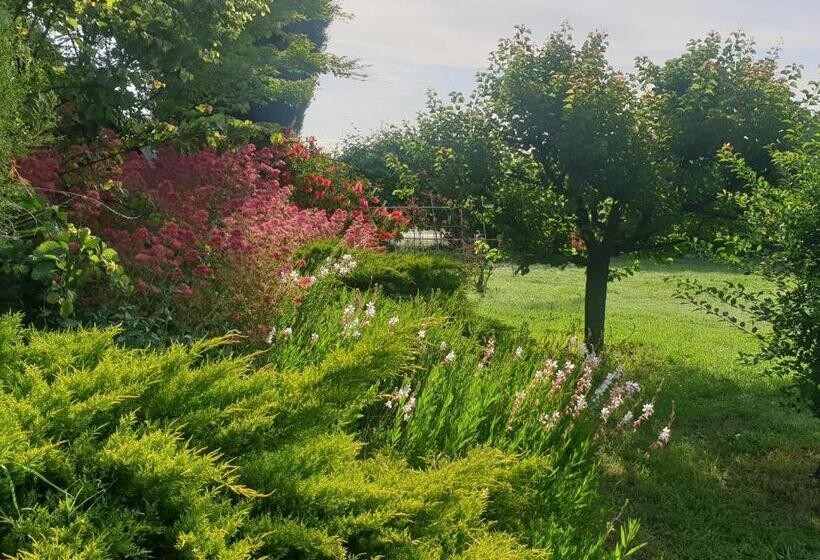 חדר סטנדרט נוף לגינה, La Gourmandine