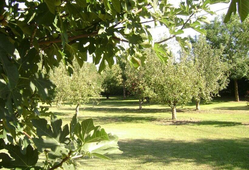 חדר סטנדרט נוף לגינה, La Gourmandine