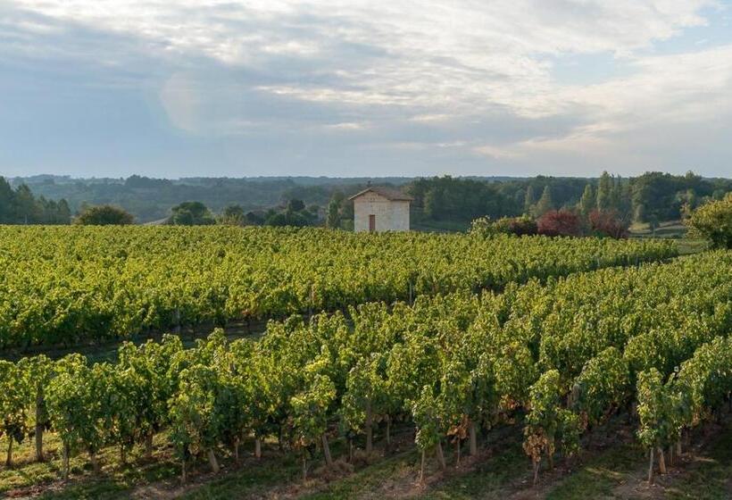 스탠다드 룸, Les Raisins Du Bonheur