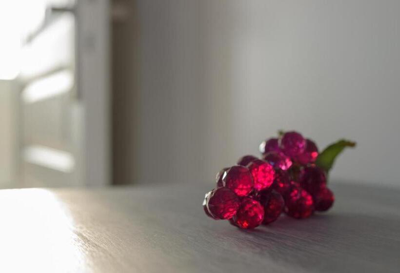 스탠다드 룸, Les Raisins Du Bonheur