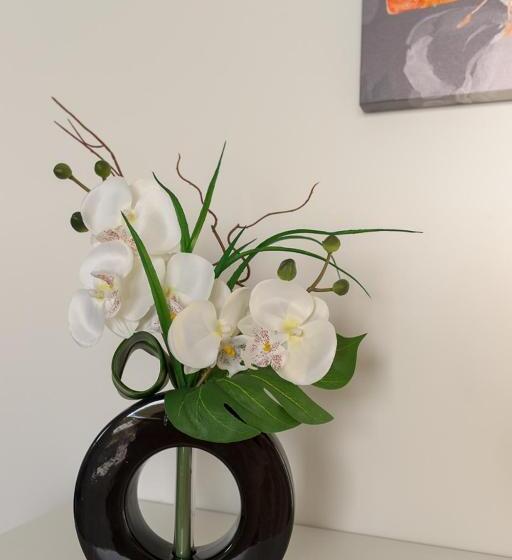 스탠다드 룸, Les Raisins Du Bonheur