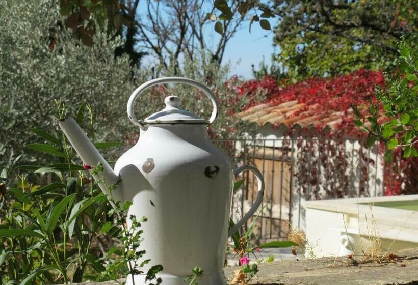 غرفة سوبيريور, Lou Cardalines