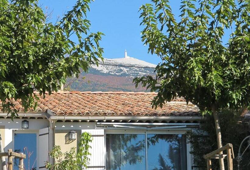 חדר סופריור, Lou Cardalines