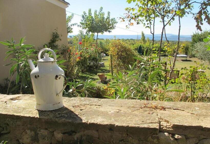 غرفة قياسية, Lou Cardalines