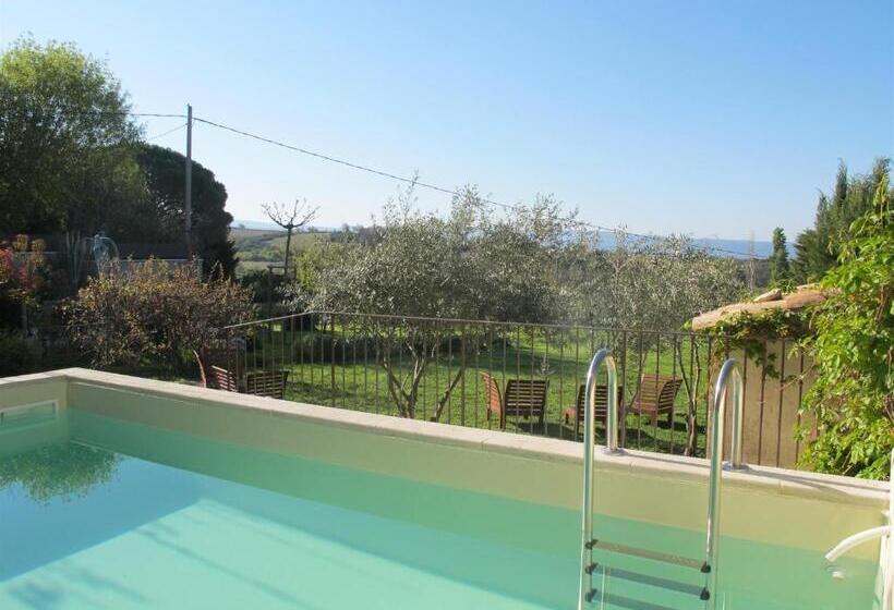 غرفة قياسية رباعية, Lou Cardalines