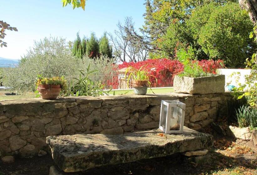 غرفة قياسية رباعية, Lou Cardalines