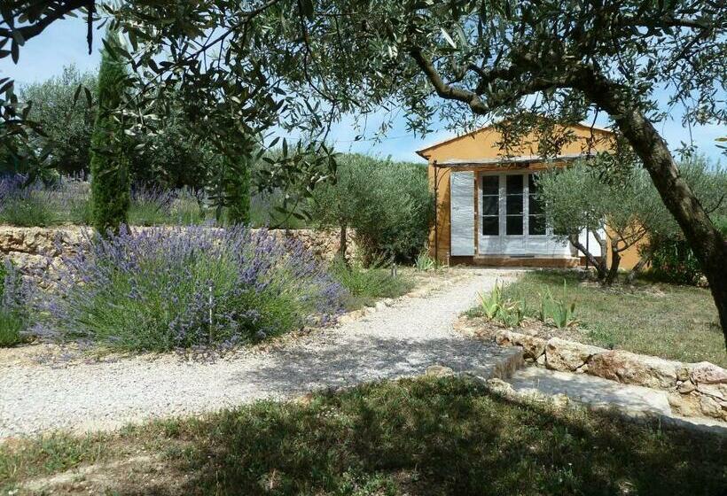 جناح, Mas De L Olivette