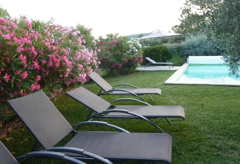 جناح, Mas De L Olivette