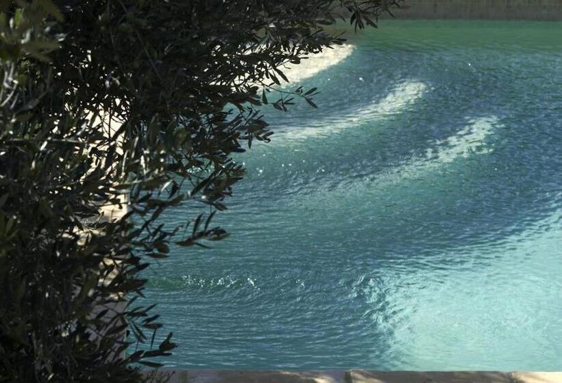 סוויטה, Mas De L Olivette