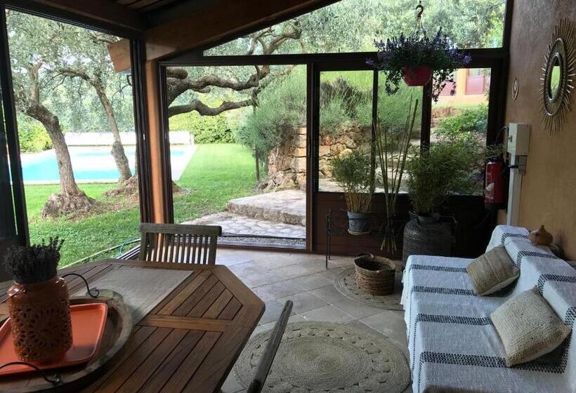 غرفة قياسية, Mas De L Olivette