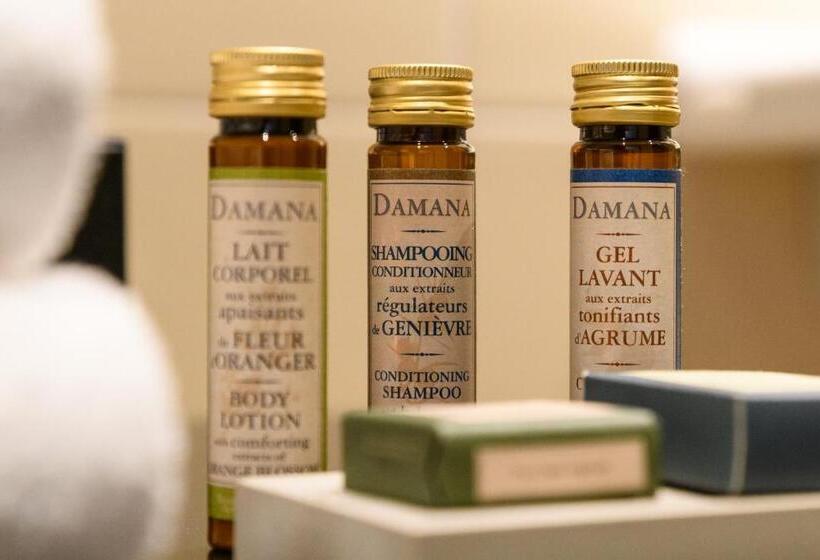 غرفة قياسية مزوَّدة بتراس, Hype Hôtel