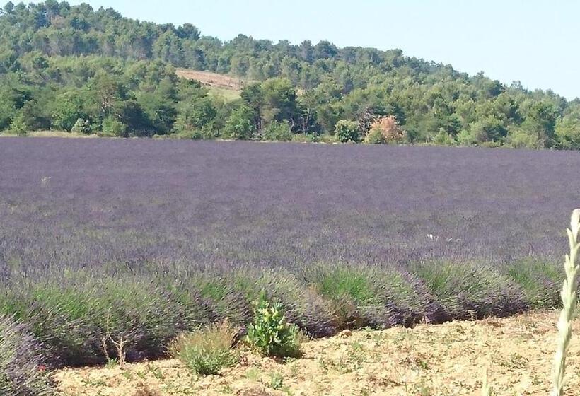 شقة غرفة واحدة, Le Grand