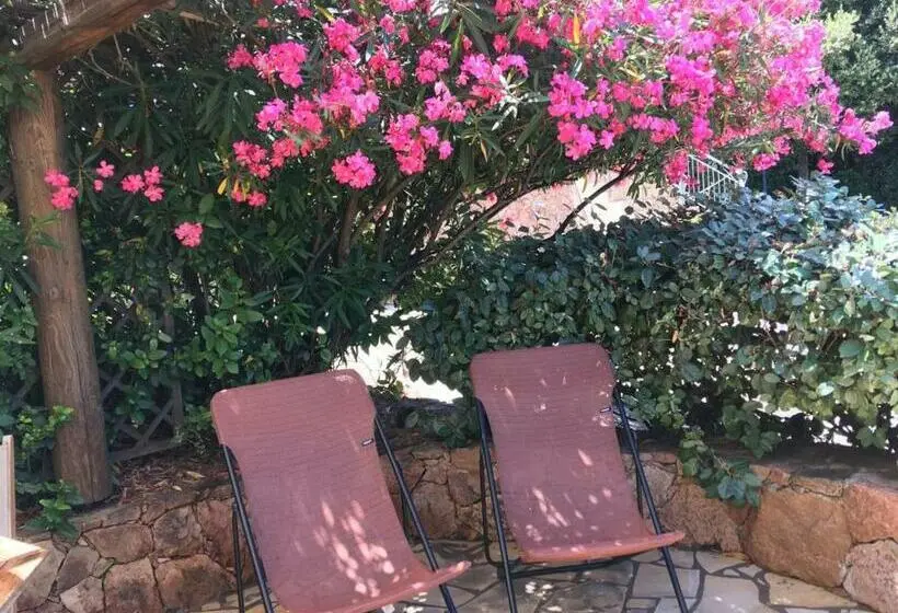 آپارتمان 1 خوابه, Residence A Licetta