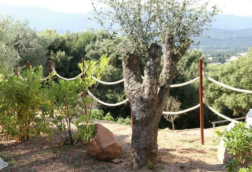 آپارتمان سوپریور 1 خوابه, Residence A Licetta