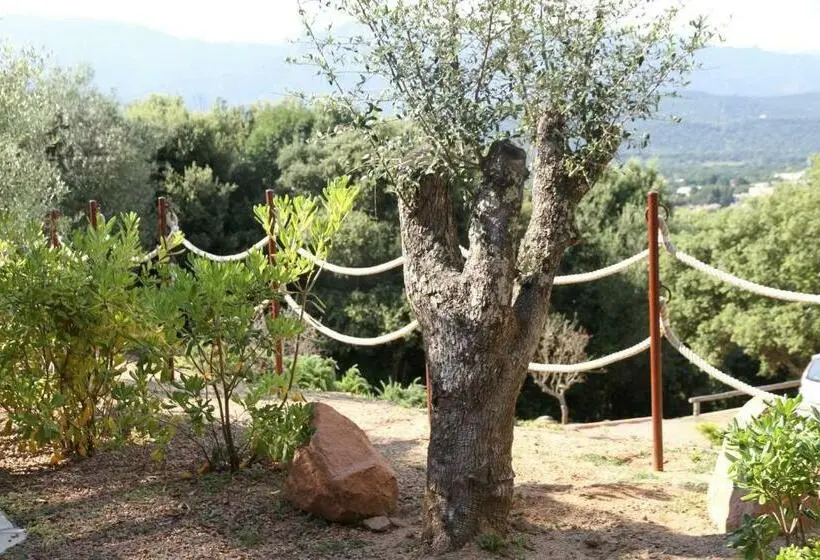 آپارتمان سوپریور 1 خوابه, Residence A Licetta