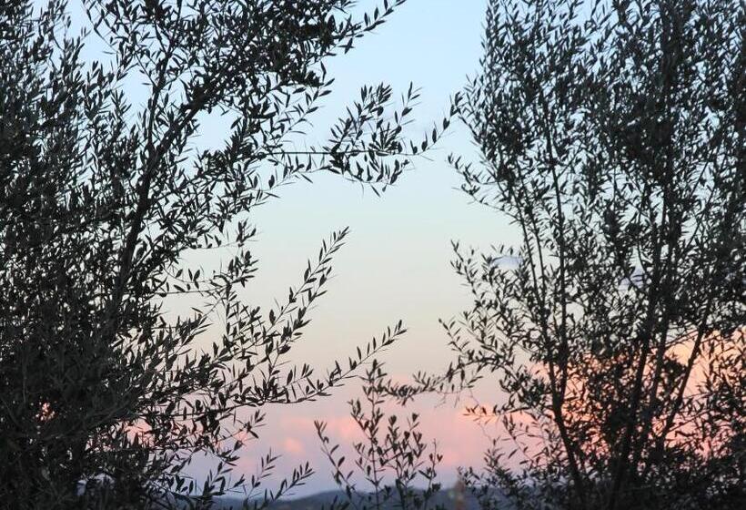 خانه 1 خوابه, Residence A Licetta