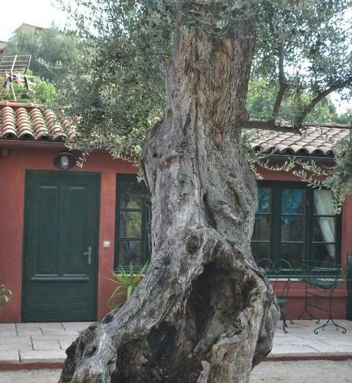 סוויטה, Sous L Olivier