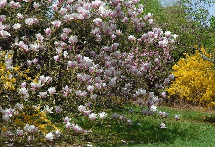 جناح, Villa Thalassa Domaineleshesperides