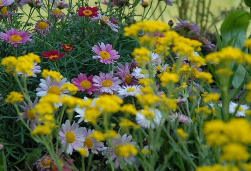 스위트, Villa Thalassa Domaineleshesperides