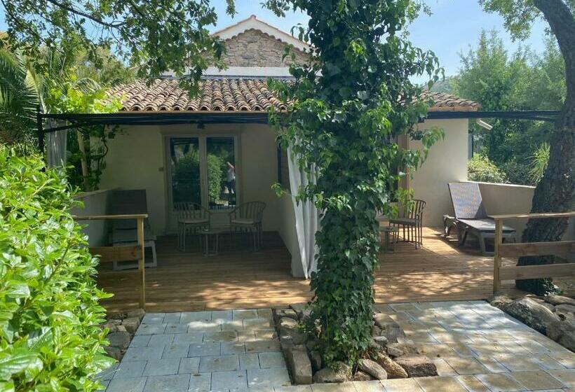 Habitació Estàndard, Le Mas Saint Donat