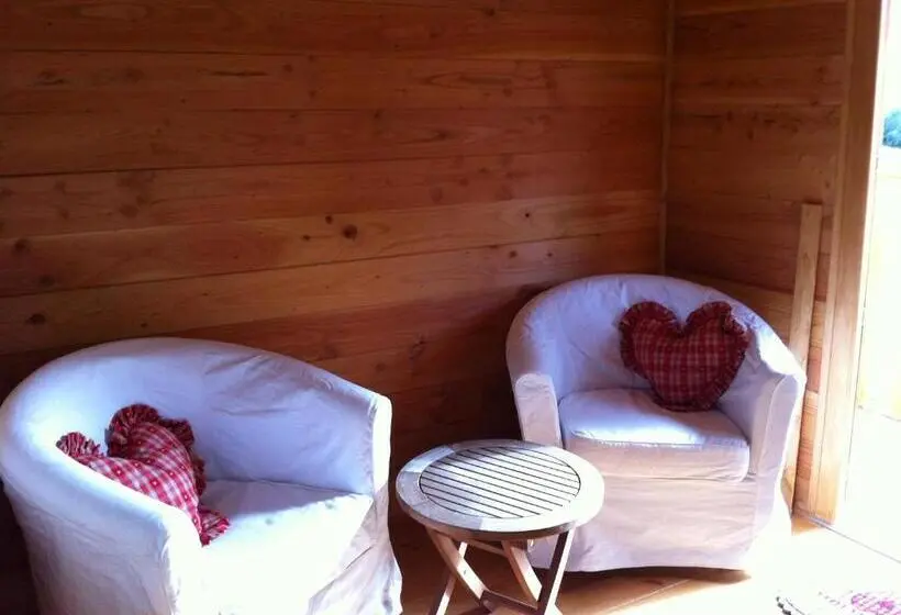 Camera Standard, Le Mas Saint Donat