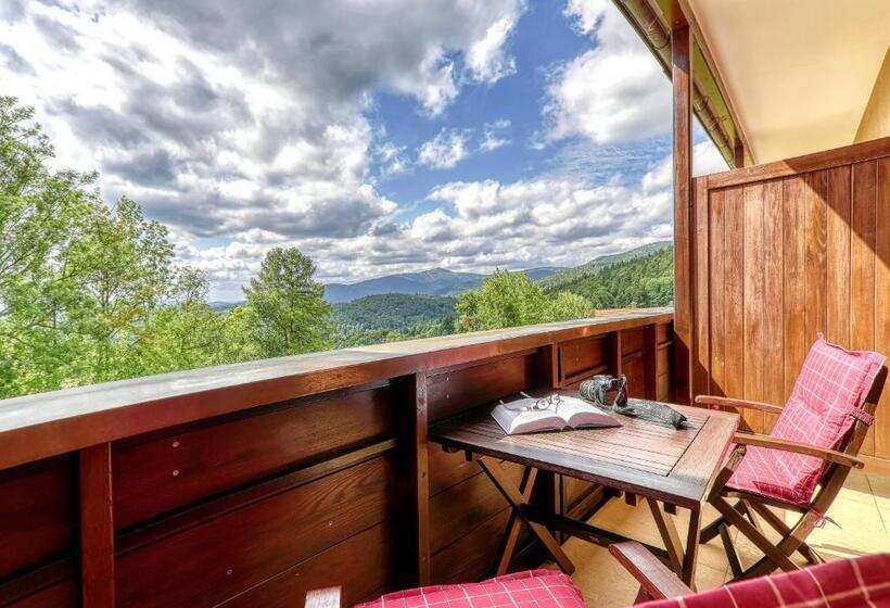 Номер Стандарт с Балконом, Pension Salzsäumer