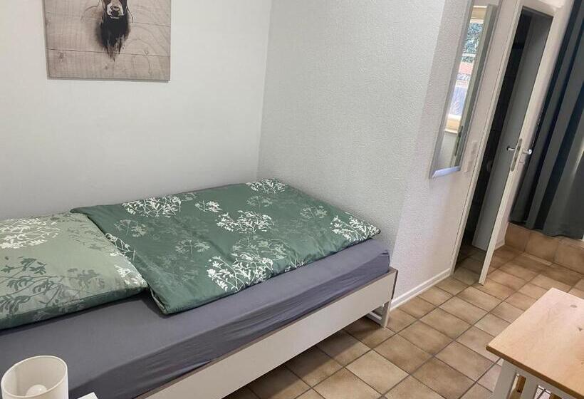 스탠다드 싱글 룸, Am See