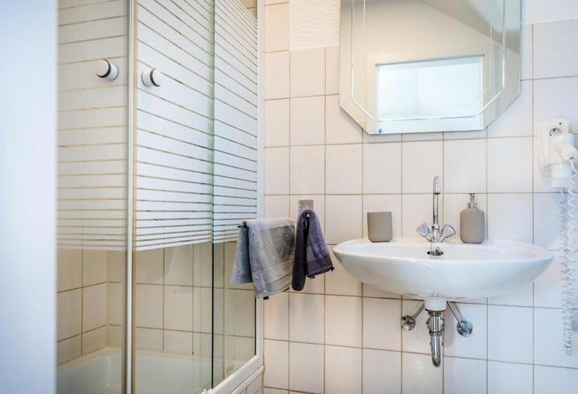 이코노미 룸, Am See