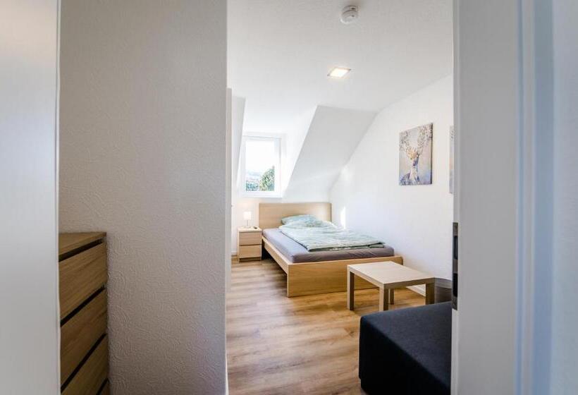 이코노미 룸, Am See