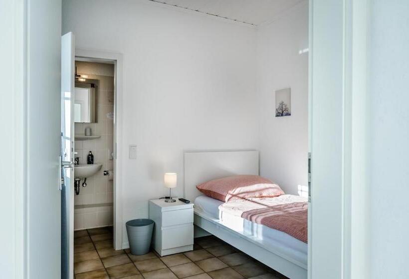 이코노미 싱글 룸, Am See