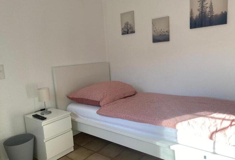 이코노미 싱글 룸, Am See