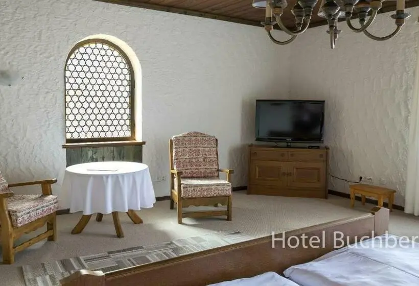 Dağ Manzaralı Standart Oda, Buchberg
