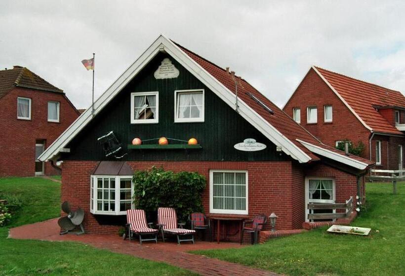 庭の見える１ベッドルームアパートメント, Fresena