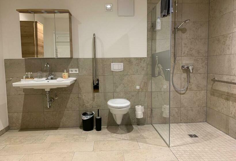 Апартаменты 1 Спальня с Балконом, Gasthaus Schwan