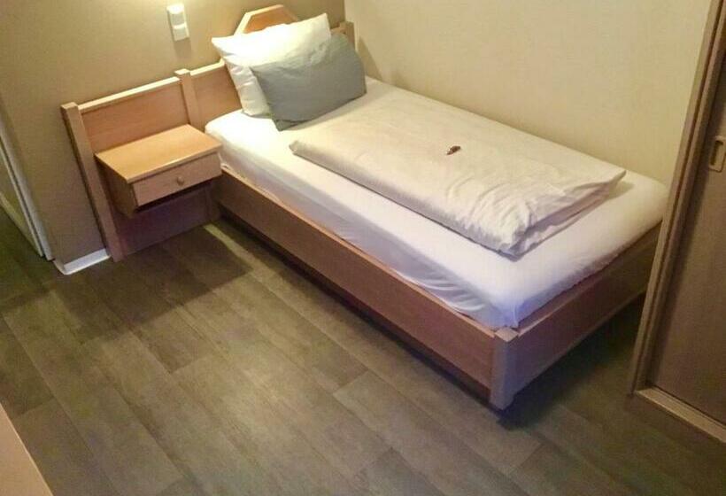 Номер Стандарт Индивидуальный, Gasthaus Schwan