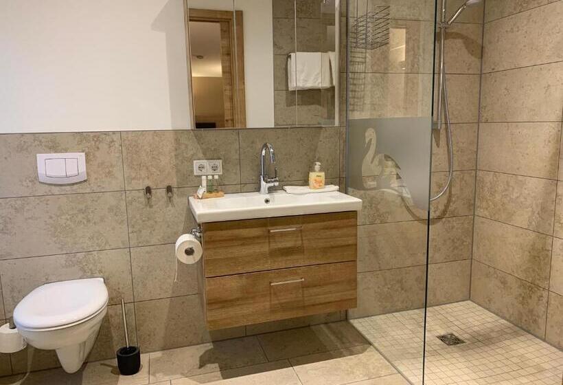 Номер Стандарт Адаптированный для Инвалидов, Gasthaus Schwan