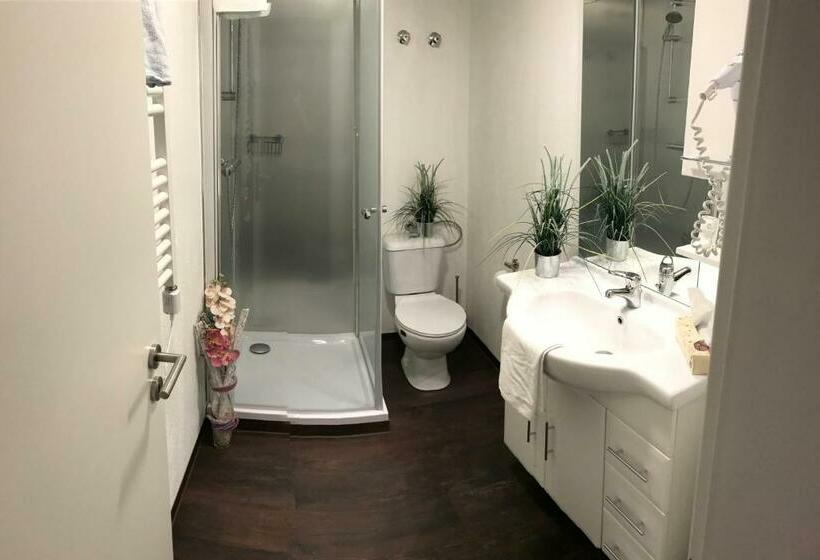 스탠다드 룸, Gasthaus Zur Quelle