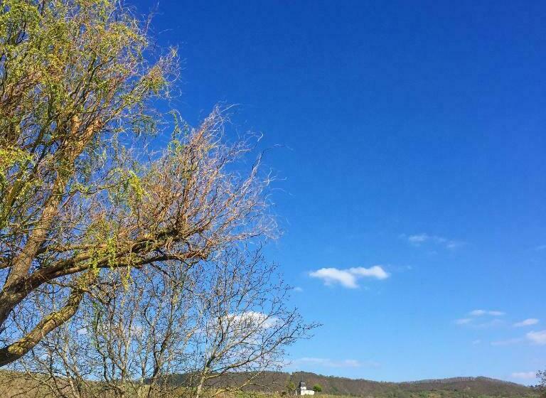 Номер Deluxe, Gästehaus Sektstuuf St. Laurentius