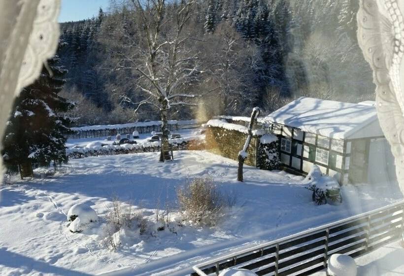 标准间, Jagerhof Winterberg