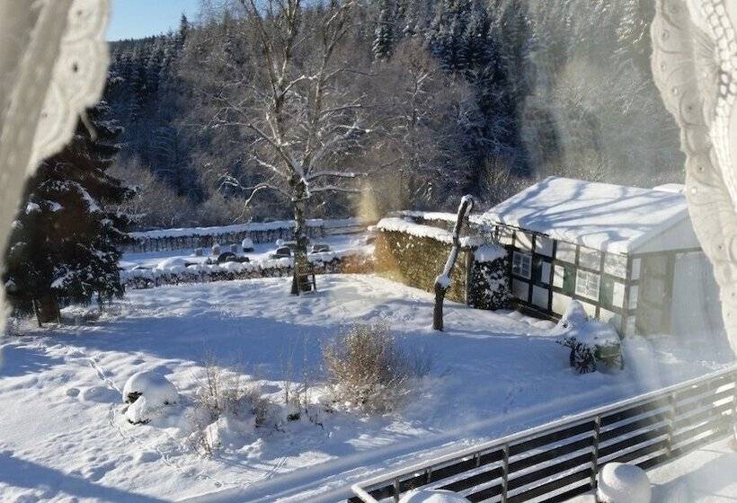 غرفة قياسية, Jagerhof Winterberg