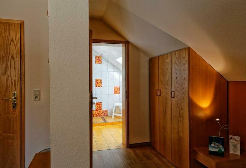 Номер Стандарт, Konsum Gästehaus Quisisana   Nebenhaus Des Konsum Berghotel Oberhof