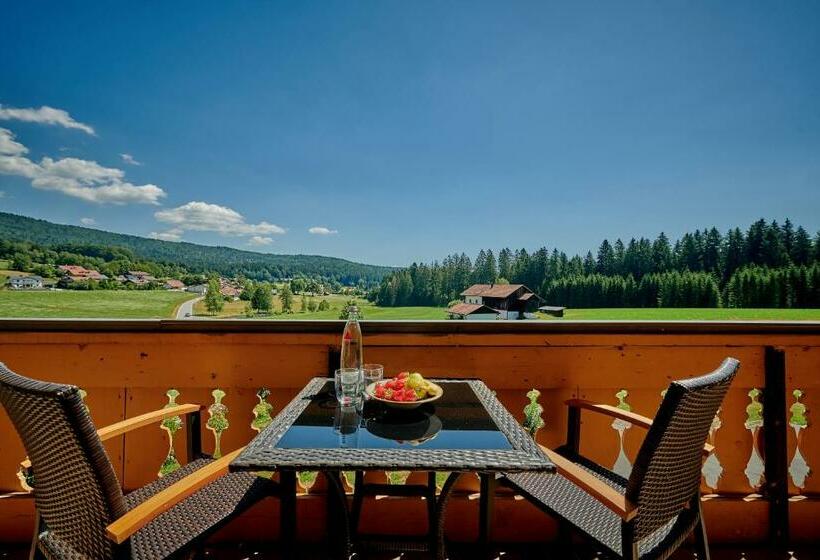 Номер Стандарт с Балконом, Landhotel Moorhof