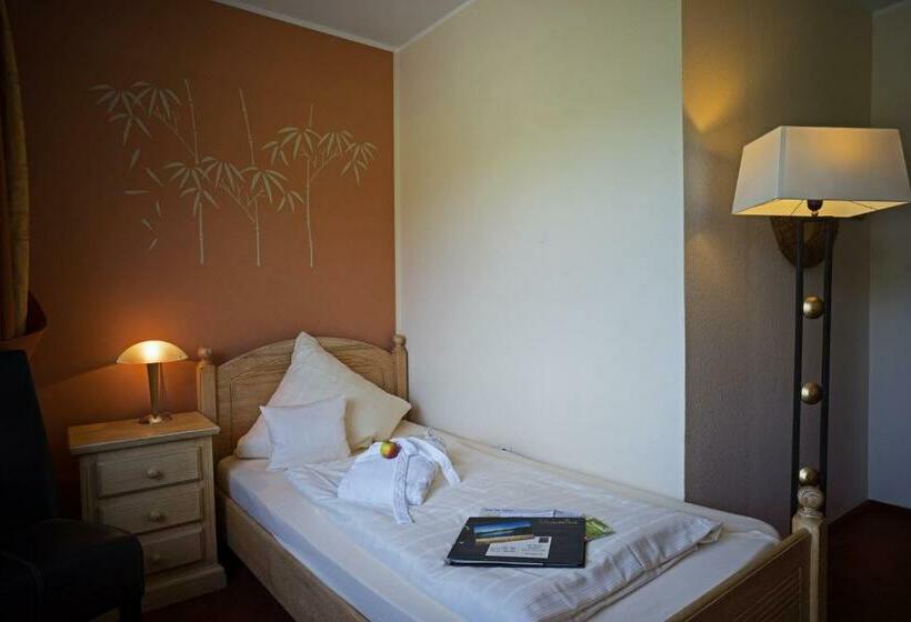 带阳台的标准单人间, Naturpurhotel Maarblick