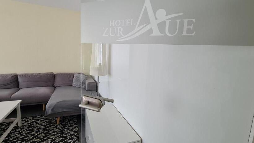 דירת חדר, Zur Aue